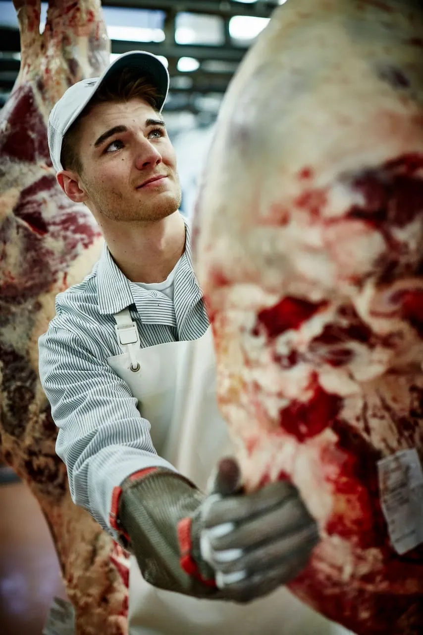 Mann kontrolliert angeliefertes Fleisch